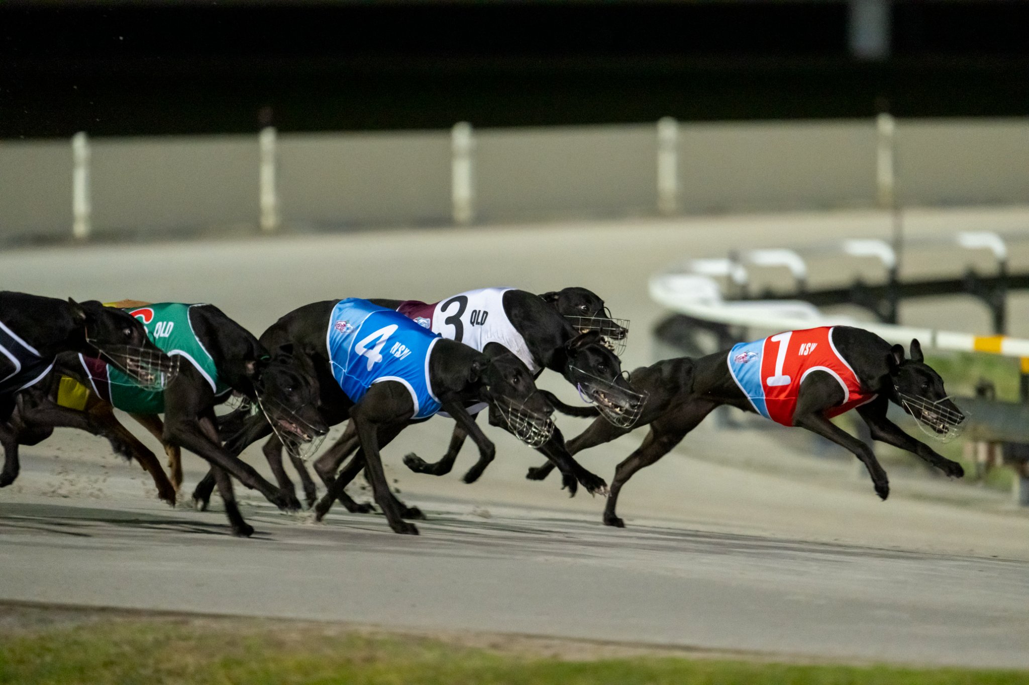 Albion Park Albion Park Track Records - QLD Greys