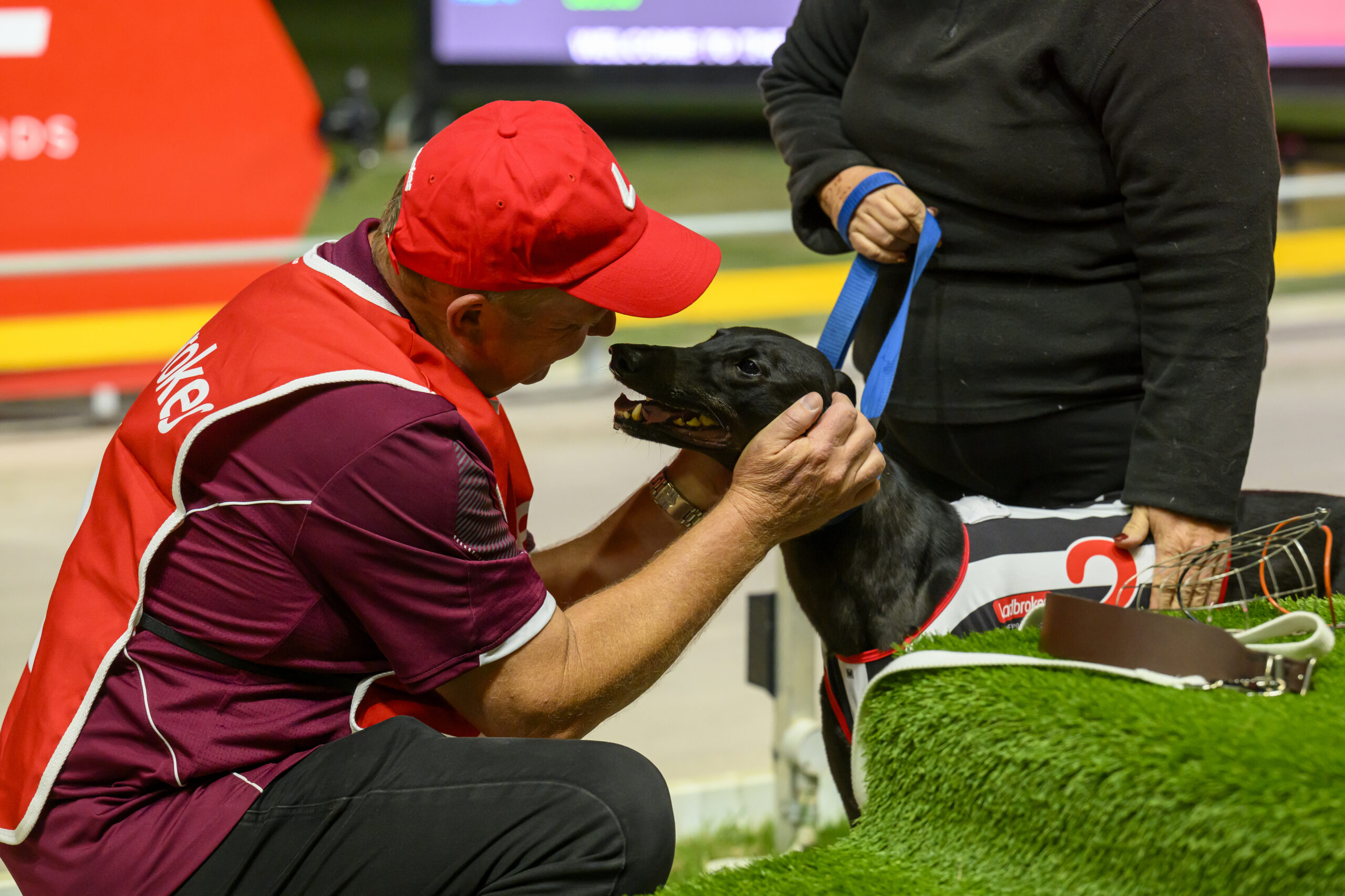 DS9_8902_3872x2581_6749701