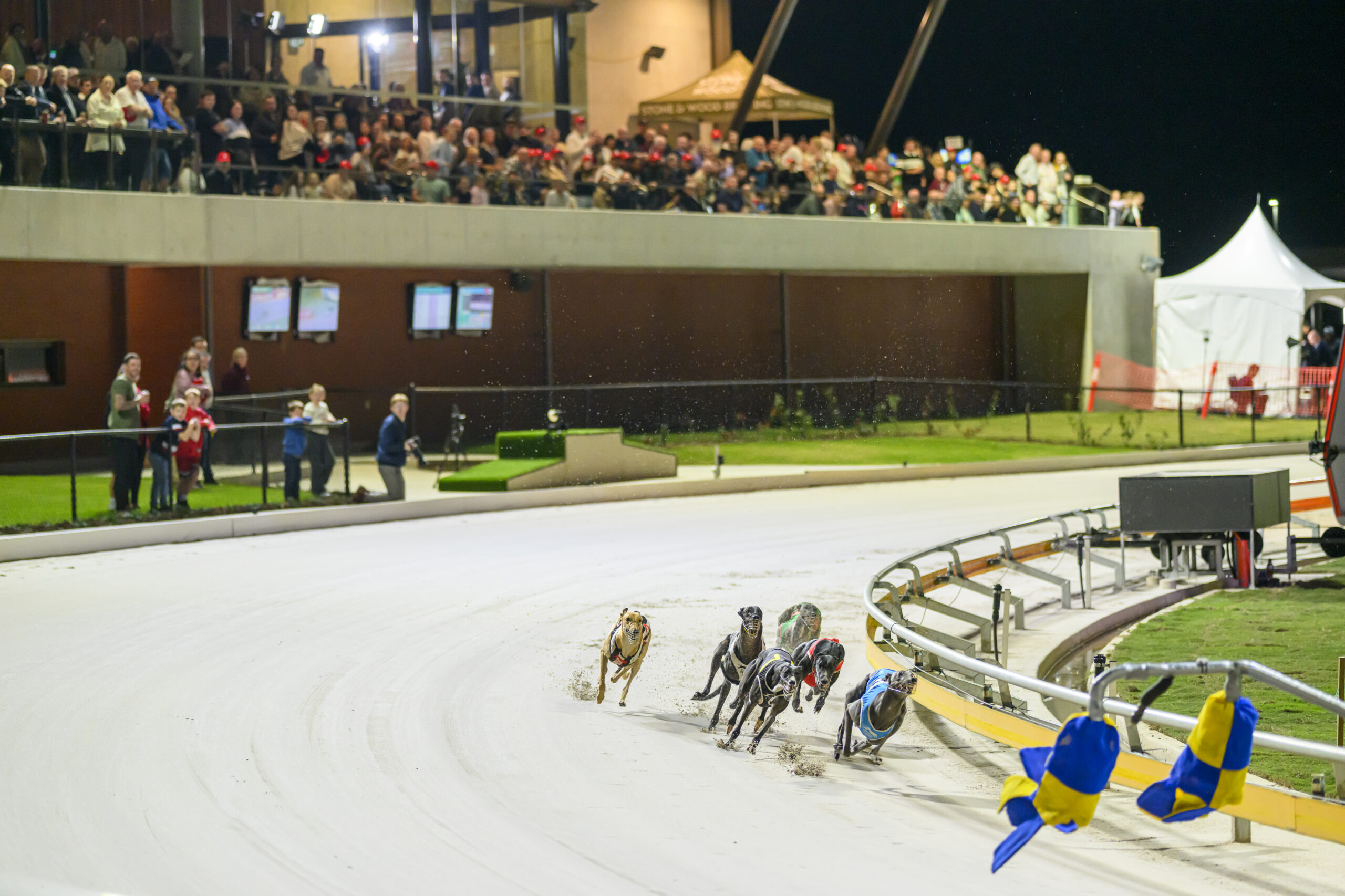 Qld Greyhound Racing Club